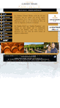 Mobile Screenshot of clement-termes.com